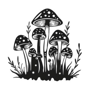 Спори чарівних грибів